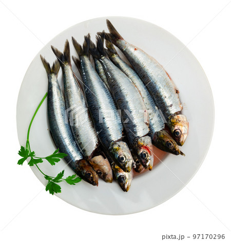 Fresh sardines on plate, fish dish 97170296