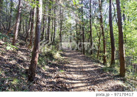 栃木県足利市の大小山登山道 97170417