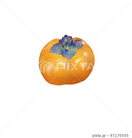 果物　リアル　柿 97170505