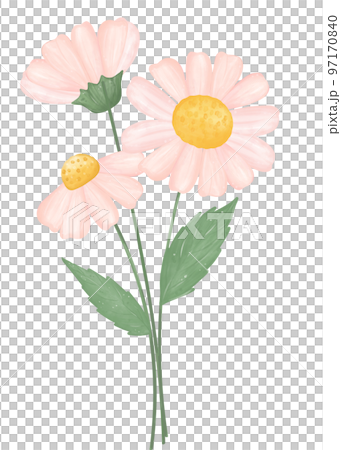cute daisy flower watercolour illustration cute daisy flower watercolour illustration 97170840
