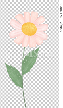 cute daisy flower watercolour illustration cute daisy flower watercolour illustration 97170848