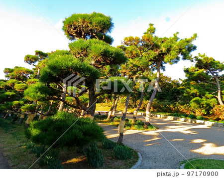 城ケ島公園 城ケ島公園 97170900