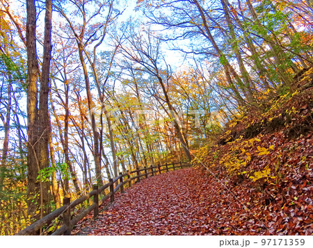 晩秋のミューズパーク 晩秋のミューズパーク 97171359