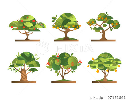 Different Fruit Trees with Green Crown and Trunk Flat Vector Set 97171861