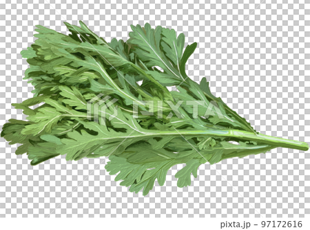 Oil painting style garland chrysanthemum 97172616