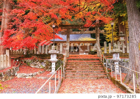 宇陀市の田口水分神社の紅葉 97173285