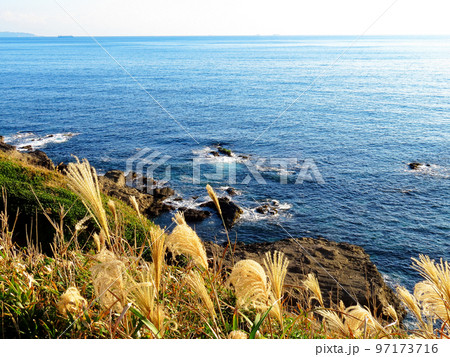 城ケ島公園 97173716