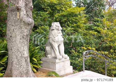 原宿東郷神社の狛犬 97174189