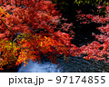 王滝渓谷の紅葉 97174855