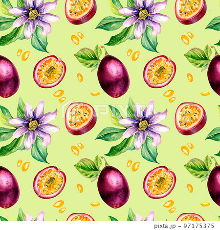 Purple passion fruit and splash juice watercolor seamless pattern isolated on green. 97175375
