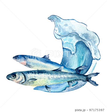 Composition of anchovies and sea wave watercolor illustration isolated on white background. 97175397