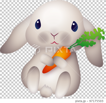 ロップイヤー にんじん ロップイヤー にんじん 97175503