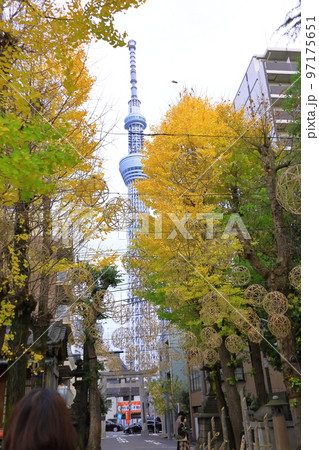 牛嶋神社　東京都墨田区 97175651