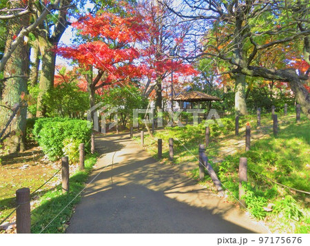 東京都大田区蘇峰公園の紅葉 97175676