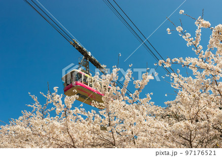 別府ロープウェイと桜(大分県別府市) 別府ロープウェイと桜(大分県別府市) 97176521