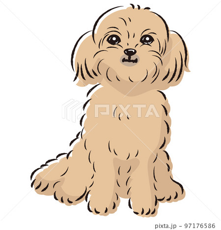 ペキプーのイラスト（ペキニーズとトイプードルのミックス犬） 97176586