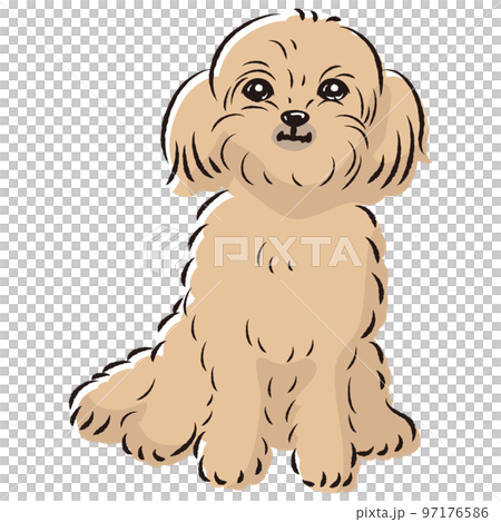ペキプーのイラスト（ペキニーズとトイプードルのミックス犬） 97176586