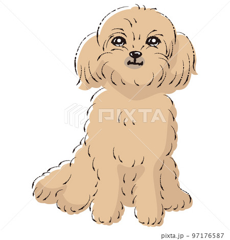 ペキプーのイラスト（ペキニーズとトイプードルのミックス犬） 97176587