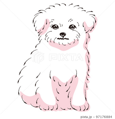 【kazu】 鉛筆画 犬 チワワ マルチーズ 手描き イラスト 原画 B5 鉛筆画 チワワ 原画｜Yahoo!フリマ（旧PayPayフリマ）