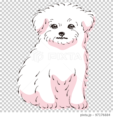 チワマルのイラスト（チワワとマルチーズのミックス犬）の