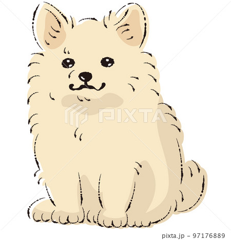 ポメチワのイラスト(ポメラニアンとチワワのミックス犬) ポメチワのイラスト(ポメラニアンとチワワのミックス犬) 97176889