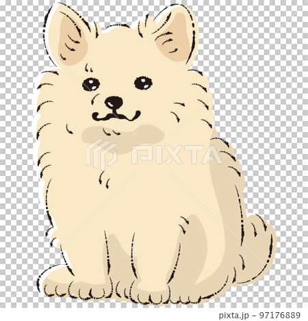 ポメチワのイラスト(ポメラニアンとチワワのミックス犬) ポメチワのイラスト(ポメラニアンとチワワのミックス犬) 97176889