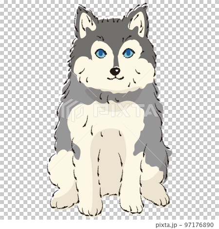 ポンスキーのイラスト(ポメラニアンとシベリアンハスキーのミックス犬) ポンスキーのイラスト(ポメラニアンとシベリアンハスキーのミックス犬) 97176890