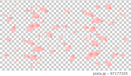 春・桃の花びらのシームレスパターン背景 春・桃の花びらのシームレスパターン背景 97177205