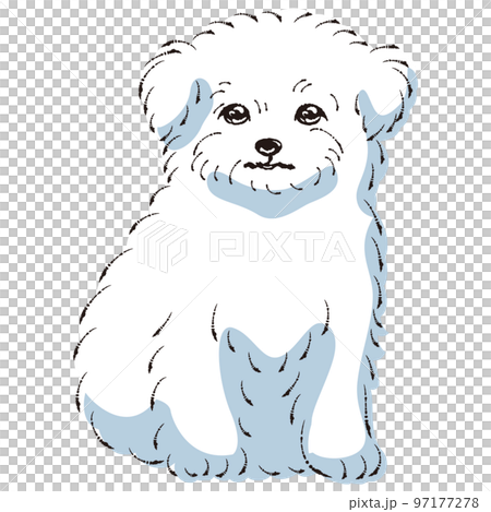 【kazu】 鉛筆画 犬 チワワ マルチーズ 手描き イラスト 原画 kazu様専用】 鉛筆画 犬 チワワ マルチーズ 手描き イラスト 原画