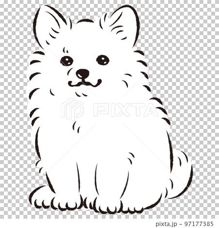 Pomechiwa 插圖（博美犬和吉娃娃混合狗）黑色和白色 97177385