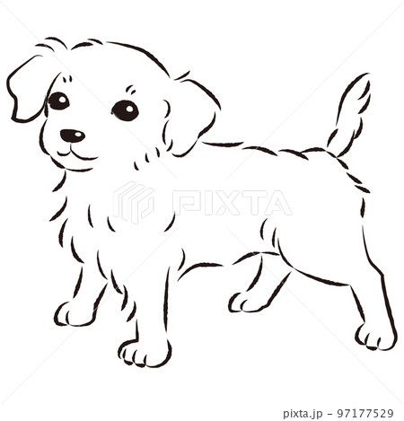 チワックスのイラスト（チワワとダックスフントのミックス犬）白黒の
