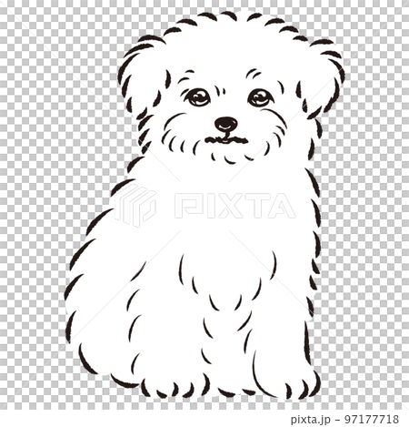 チワワ❤️ 犬 原画 鉛筆画 絵画 手描き イラスト ハガキサイズ