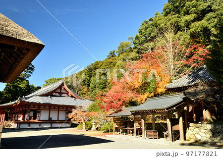 観心寺(金堂) 【大阪府河内長野市】 観心寺(金堂) 【大阪府河内長野市】 97177821