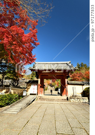 観心寺(山門) 【大阪府河内長野市】 観心寺(山門) 【大阪府河内長野市】 97177833