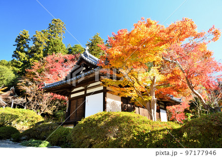 観心寺(拝殿)　【大阪府河内長野市】 97177946