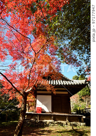 観心寺(拝殿) 【大阪府河内長野市】 観心寺(拝殿) 【大阪府河内長野市】 97177947