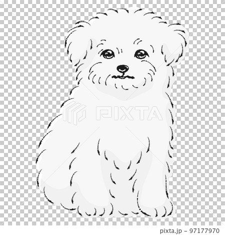 【kazu】 鉛筆画 犬 チワワ マルチーズ 手描き イラスト 原画 チワワ 鉛筆画 途中。 #鉛筆画#こいぬ #イラスト#白黒 #鉛筆画