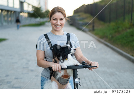 A woman rides an electric scooter with a dog in a backpack. Pappilion Spaniel Continental in a sling. 97178223