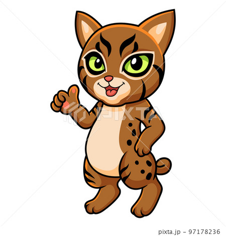 Cute pixie bob cat cartoon giving thumbs up 97178236