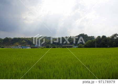 空 雲 暗雲 97178979