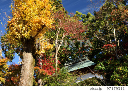 楠妣庵観音寺 【大阪府河内長野市】 楠妣庵観音寺 【大阪府河内長野市】 97179311