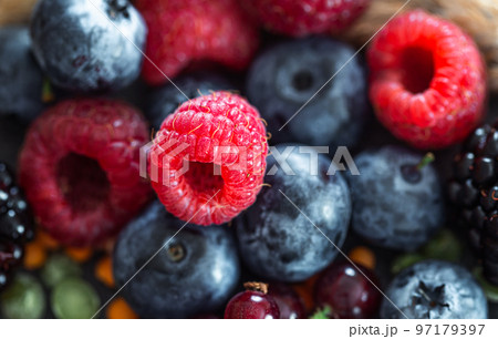 Natural background with different wild berries, macro shot. 97179397