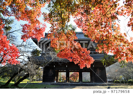 新義真言宗総本山根來寺(大門・紅葉) 【和歌山県岩出市根来】 新義真言宗総本山根來寺(大門・紅葉) 【和歌山県岩出市根来】 97179658