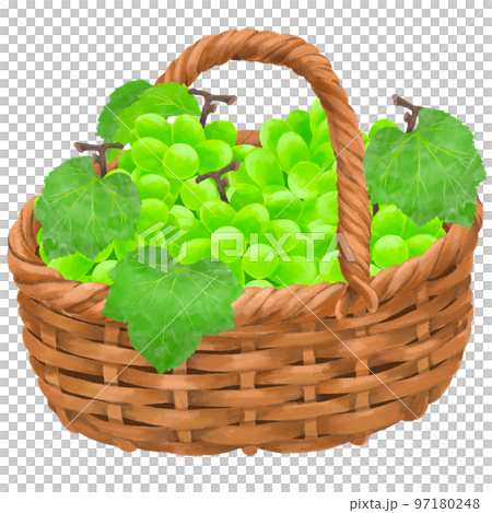 裝滿葡萄的籃子插圖 97180248