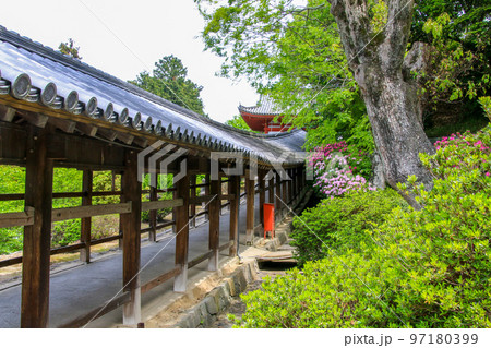 吉備津神社 97180399