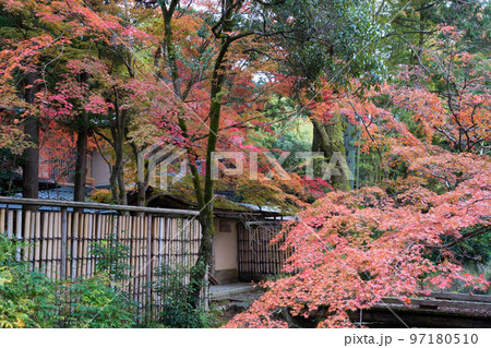 哲学の道の紅葉 97180510