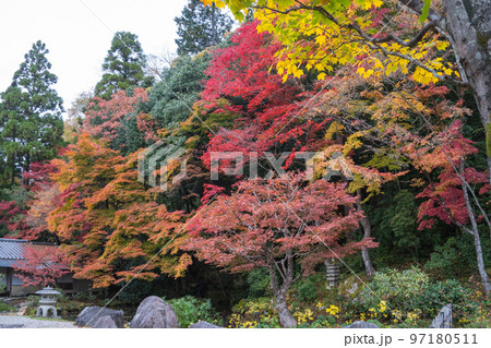 南禅寺の紅葉 97180511