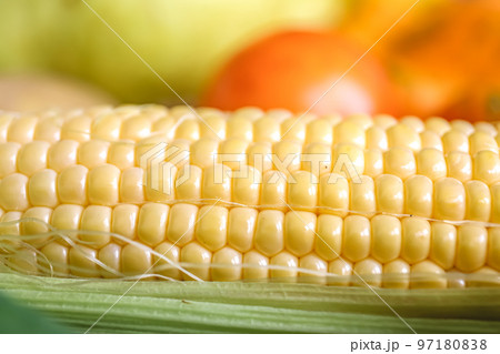 Natural background, fresh corn closeup, macro shot. 97180838