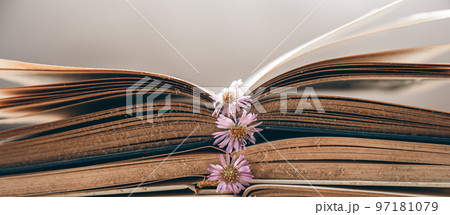 Open old books stacked, close-up on blurred background. Open old books stacked, close-up on blurred background. 97181079