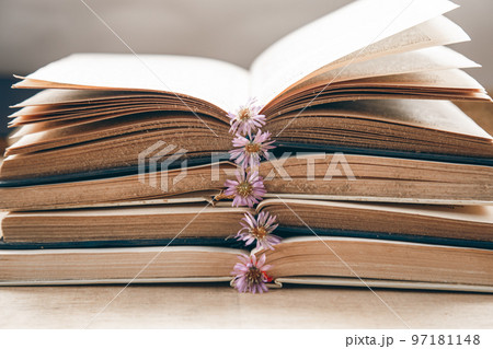 Open old books stacked, close-up on blurred background. 97181148